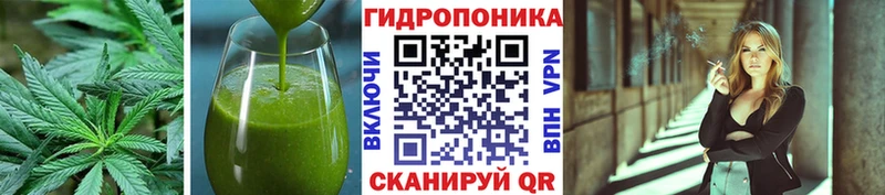 Canna-Cookies марихуана  продажа наркотиков  shop состав  Великий Новгород 