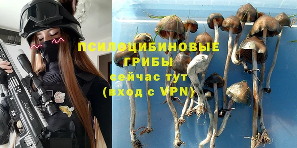 таблы Богданович