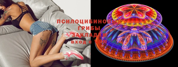 таблы Богданович