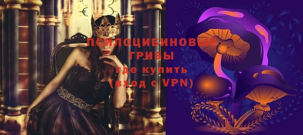 дурь Богородск
